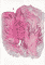 kissing-3-2026